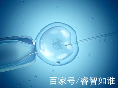 关于专业拉拉代怀助孕费用多少